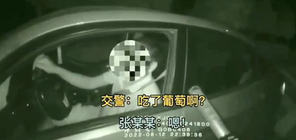 酒駕司機遇查，反復(fù)“甩鍋”葡萄稱自己沒喝酒……